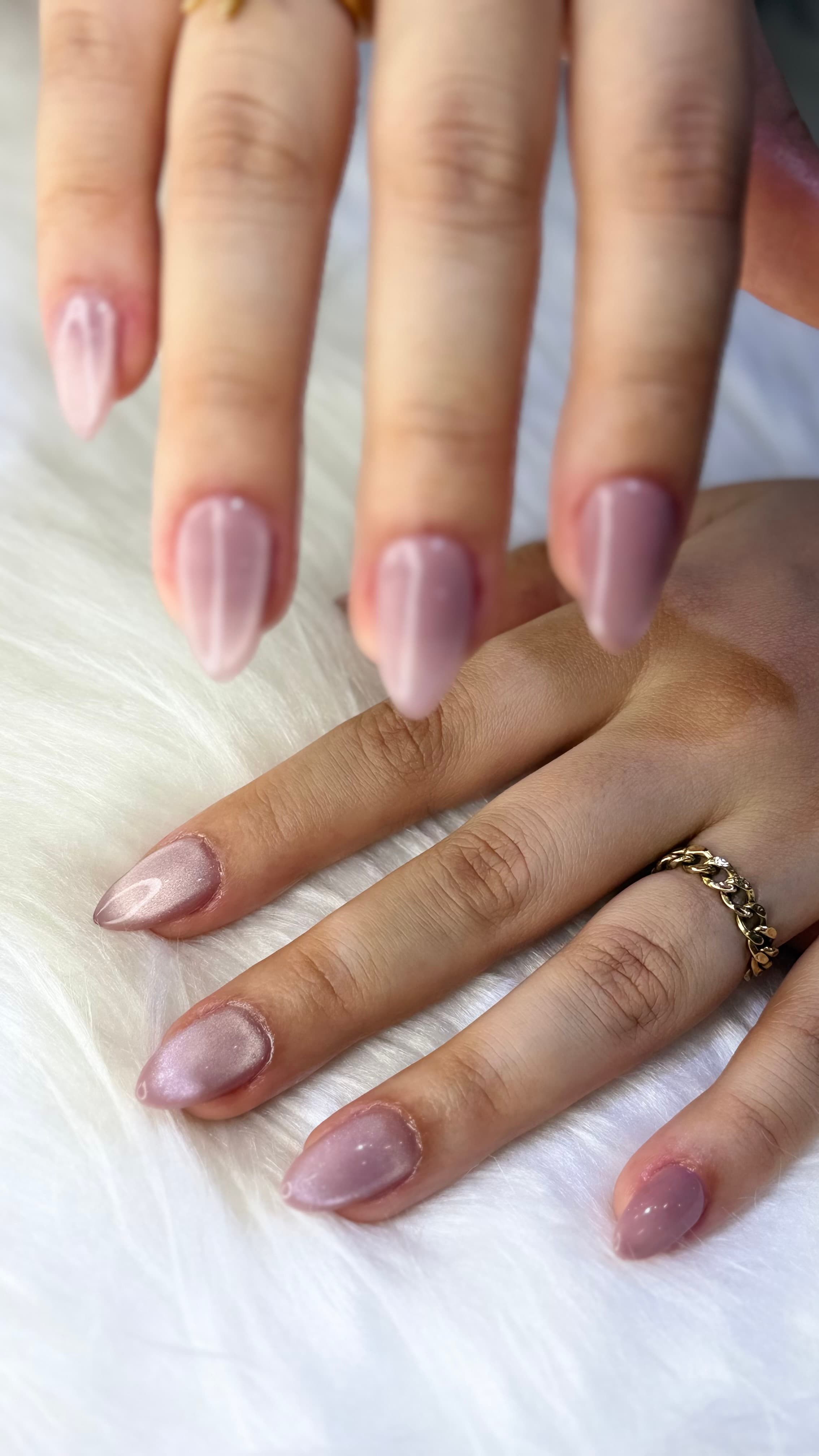 Hair colour treatment at Paloma Ladies Salon